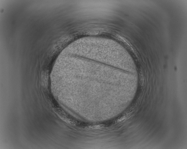 X0000067890307200605111858