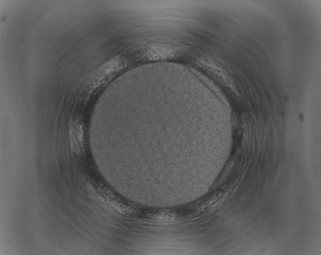 X0000067890308200605111858