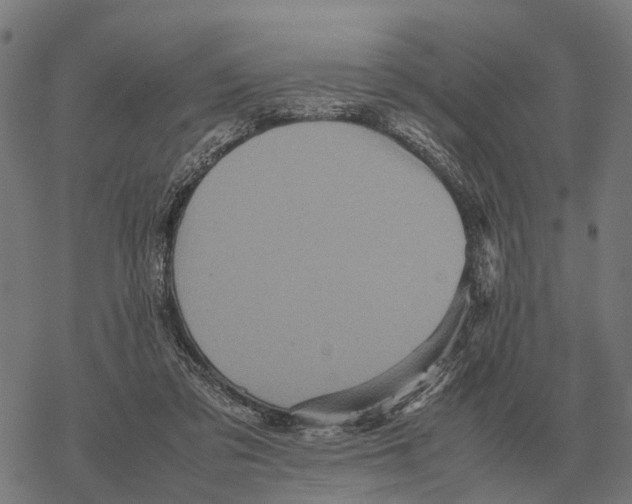 X0000067890309200605111858