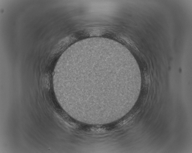 X0000067890311200605111858