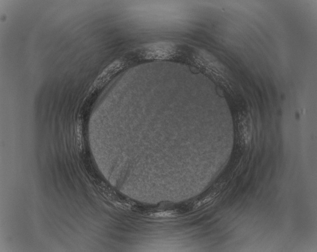 X0000067890312200605111858