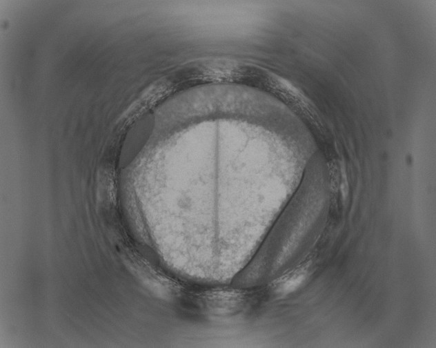 X0000067890313200605111857