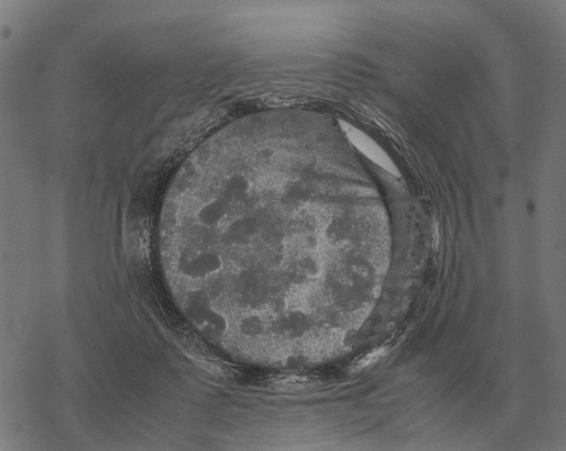 X0000067890315200605111857