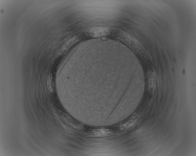 X0000067890316200605111857