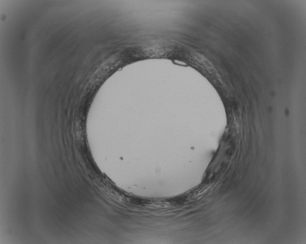 X0000067890317200605111857