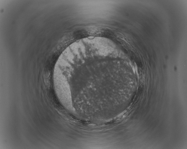 X0000067890319200605111857