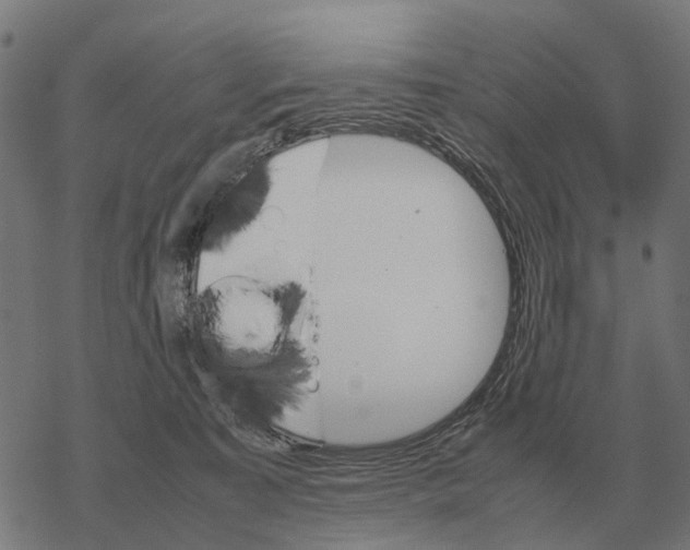 X0000067890323200605111857