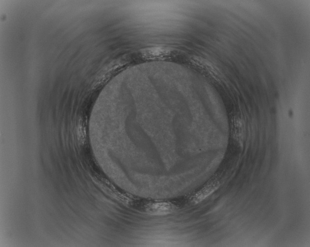 X0000067890324200605111857