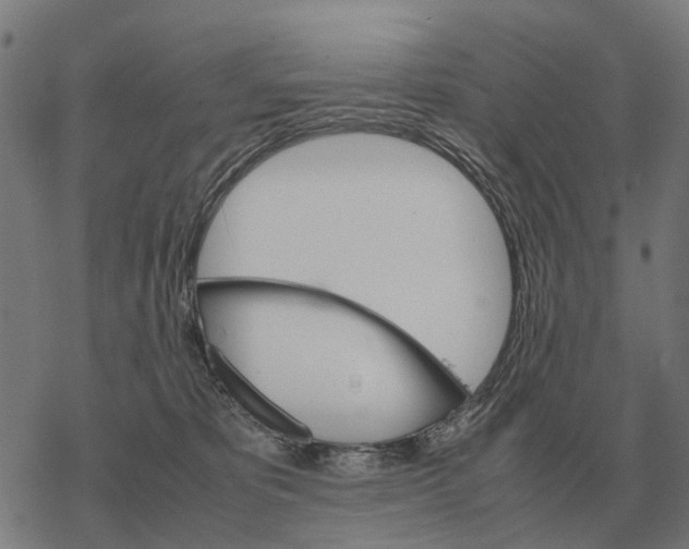 X0000067890325200605111857