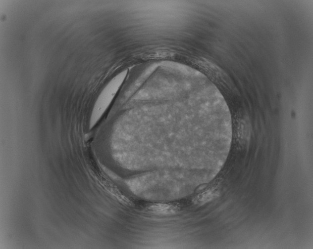 X0000067890326200605111857