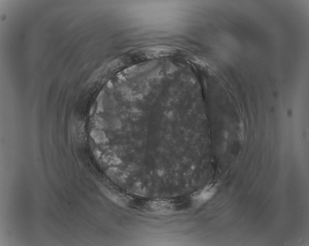 X0000067890327200605111857