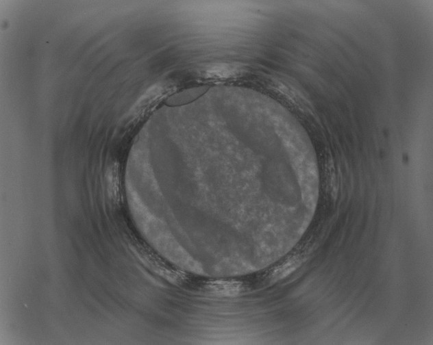 X0000067890328200605111857