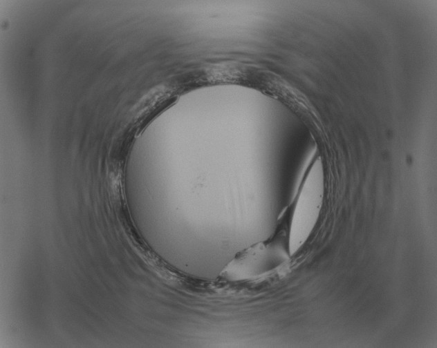 X0000067890329200605111857