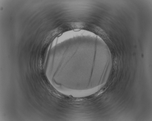 X0000067890330200605111857