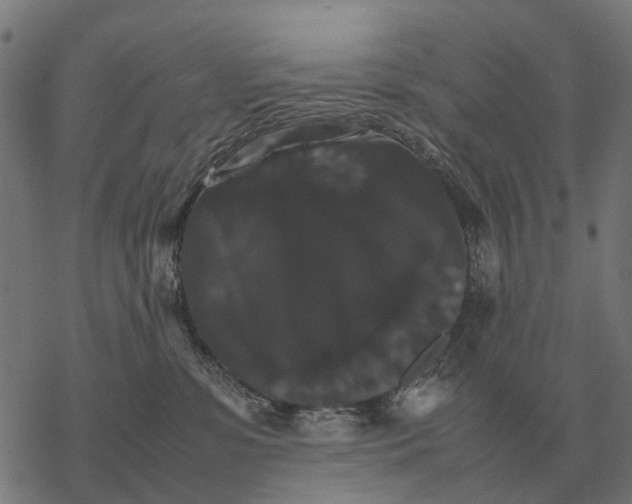 X0000067890331200605111857