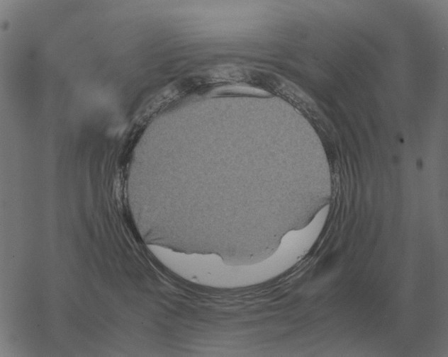 X0000067890333200605111857