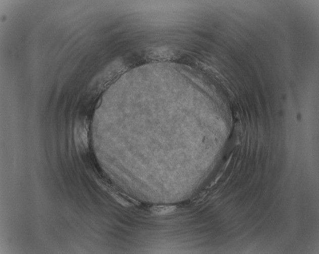 X0000067890334200605111857