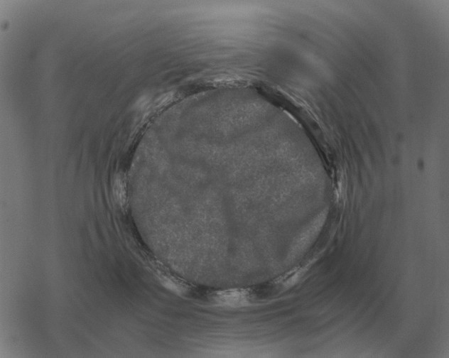 X0000067890335200605111857