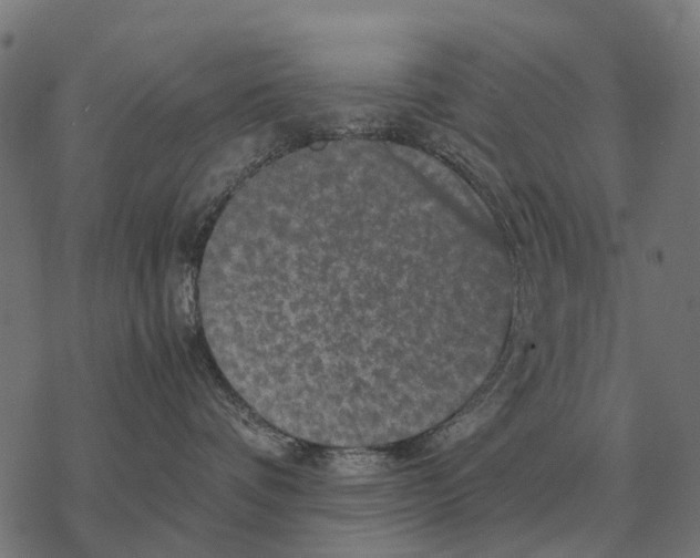 X0000067890336200605111857