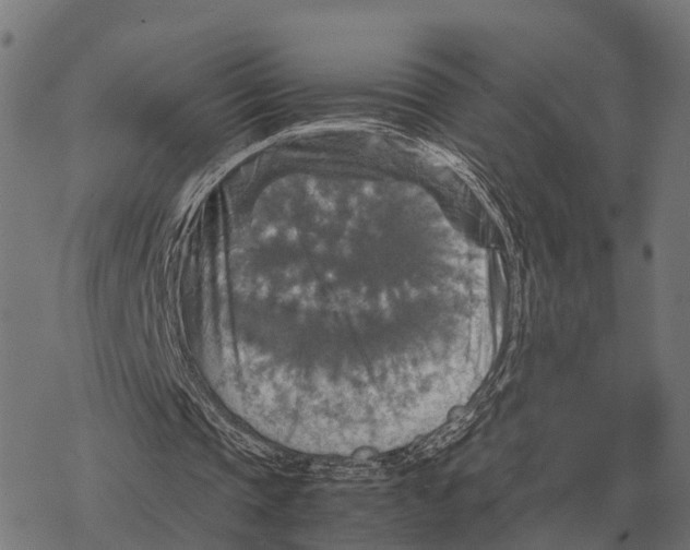 X0000067890337200605111856