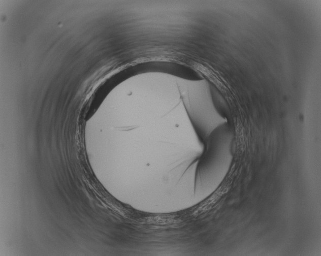 X0000067890338200605111856