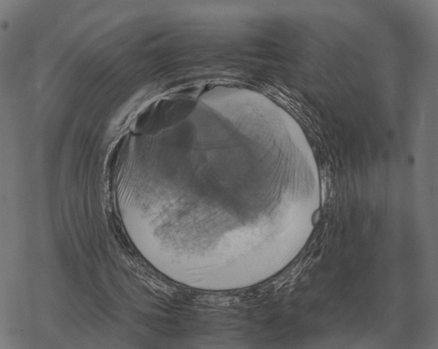 X0000067890339200605111856