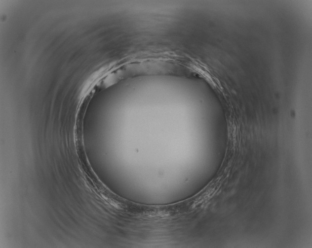 X0000067890340200605111856