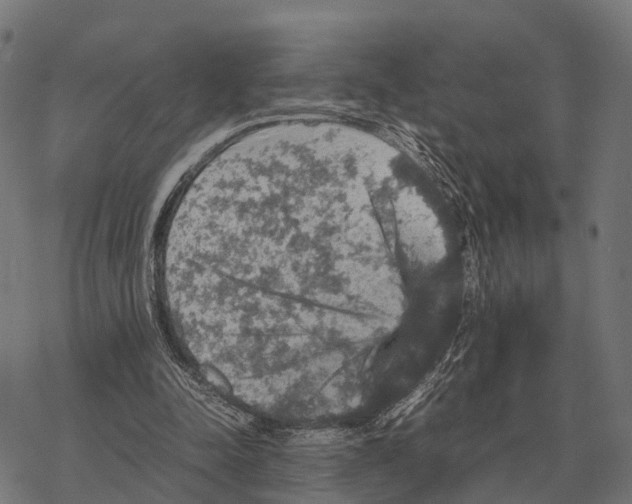 X0000067890342200605111856