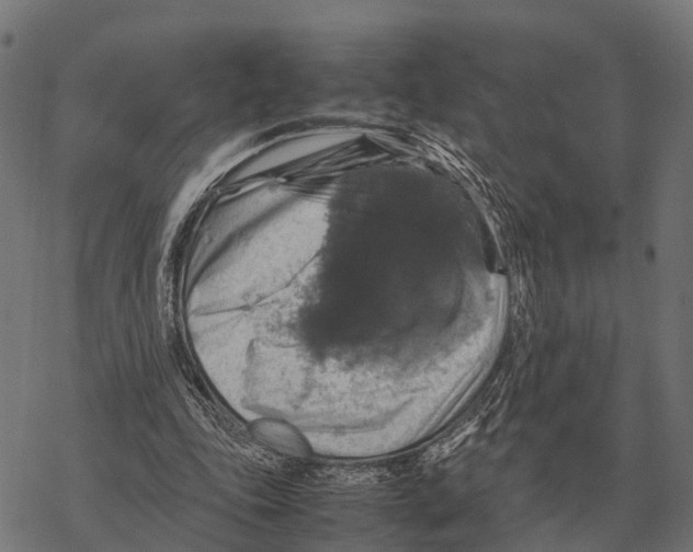 X0000067890343200605111856