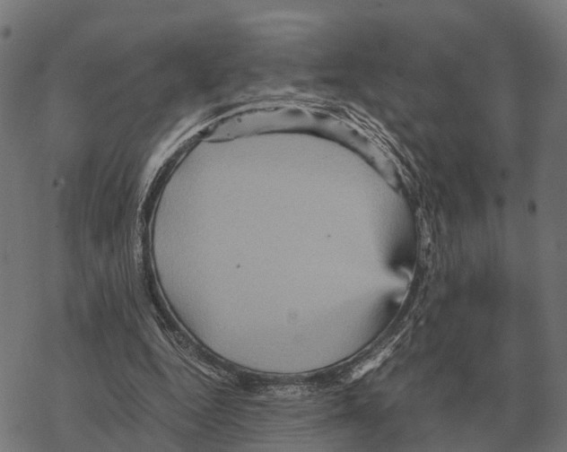 X0000067890344200605111856