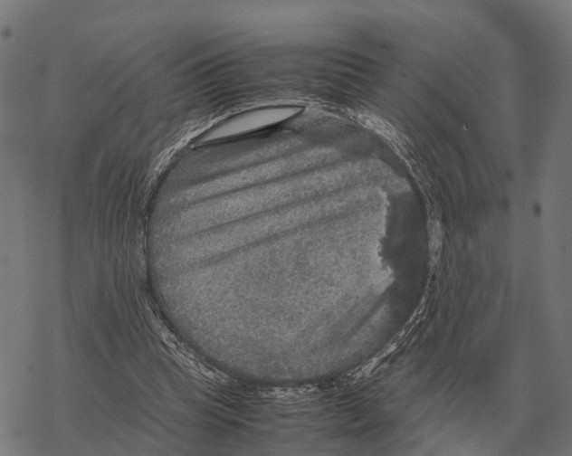 X0000067890345200605111856