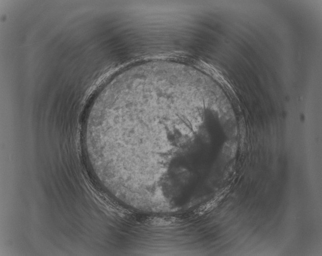 X0000067890346200605111856