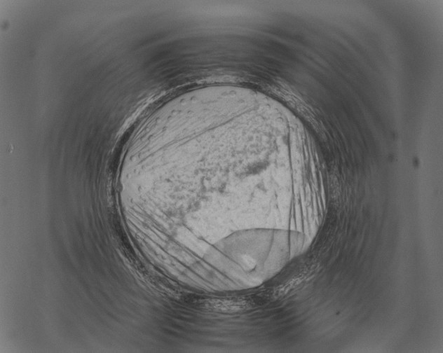 X0000067890347200605111856