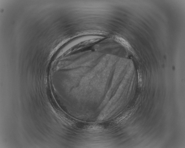 X0000067890348200605111857