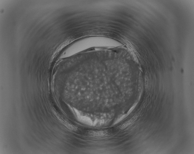 X0000067890349200605111857