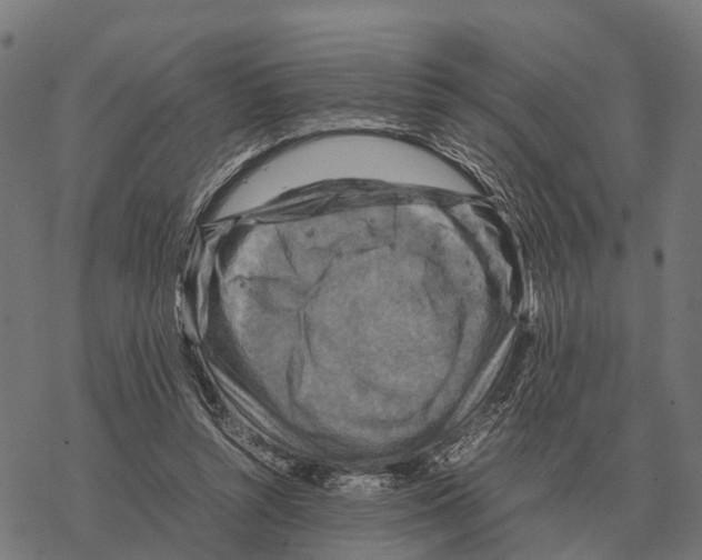 X0000067890352200605111857