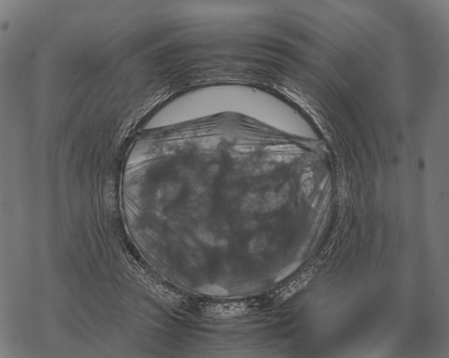 X0000067890353200605111857