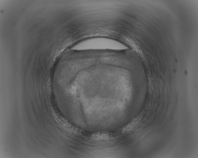 X0000067890354200605111857