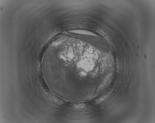 X0000067890355200605111857