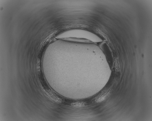 X0000067890356200605111857