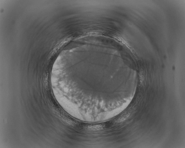 X0000067890357200605111857