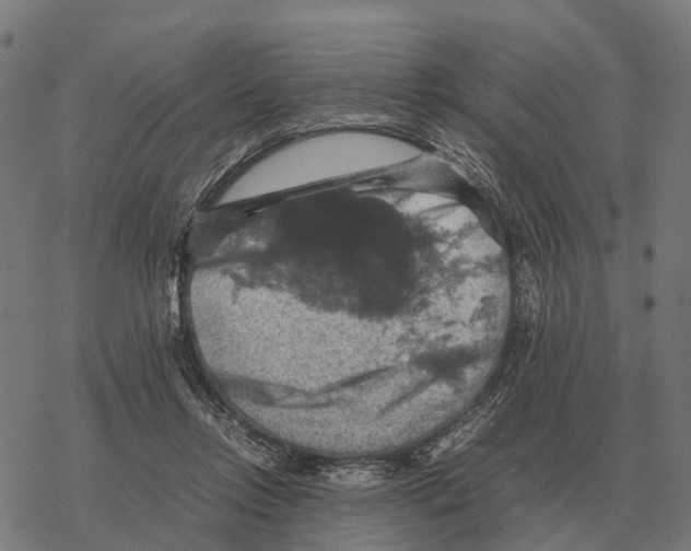 X0000067890358200605111857