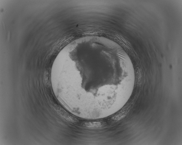 X0000067890361200605111857