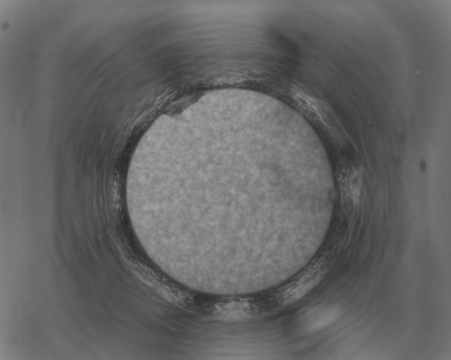 X0000067890362200605111857