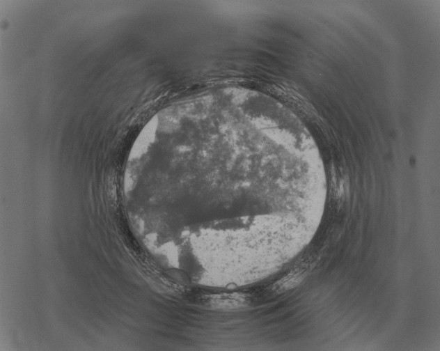 X0000067890363200605111857