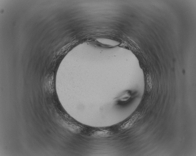 X0000067890364200605111857