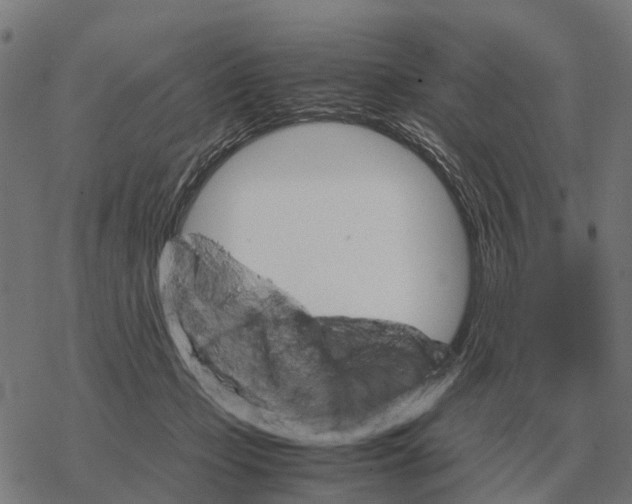 X0000067890365200605111857