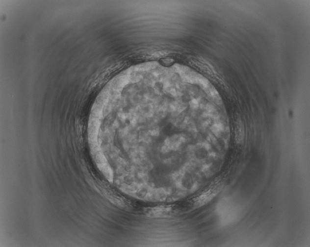 X0000067890366200605111857