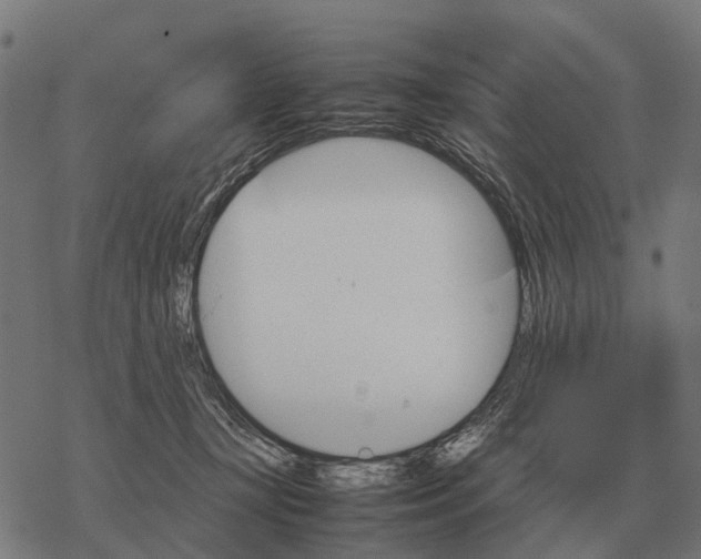 X0000067890367200605111857