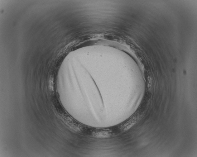 X0000067890368200605111857